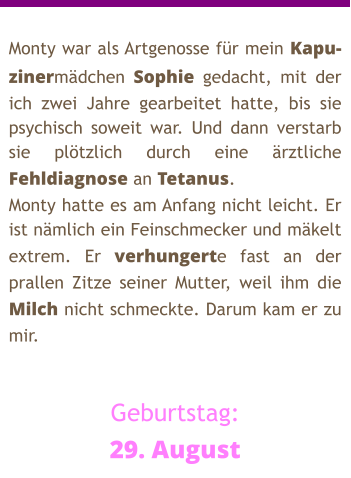 Monty war als Artgenosse für mein Kapu-zinermädchen Sophie gedacht, mit der ich zwei Jahre gearbeitet hatte, bis sie psychisch soweit war. Und dann verstarb sie plötzlich durch eine ärztliche Fehldiagnose an Tetanus. Monty hatte es am Anfang nicht leicht. Er ist nämlich ein Feinschmecker und mäkelt extrem. Er verhungerte fast an der prallen Zitze seiner Mutter, weil ihm die Milch nicht schmeckte. Darum kam er zu mir.   Geburtstag: 29. August