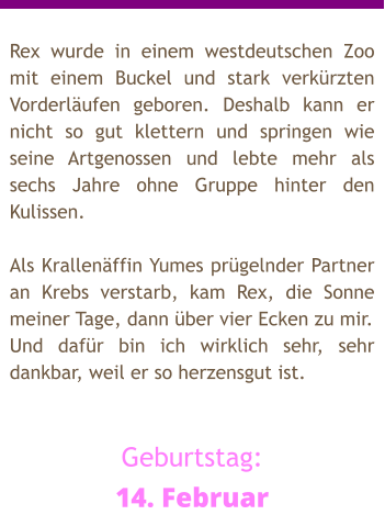 Rex wurde in einem westdeutschen Zoo mit einem Buckel und stark verkürzten Vorderläufen geboren. Deshalb kann er nicht so gut klettern und springen wie seine Artgenossen und lebte mehr als sechs Jahre ohne Gruppe hinter den Kulissen.  Als Krallenäffin Yumes prügelnder Partner an Krebs verstarb, kam Rex, die Sonne meiner Tage, dann über vier Ecken zu mir.  Und dafür bin ich wirklich sehr, sehr dankbar, weil er so herzensgut ist.   Geburtstag: 14. Februar