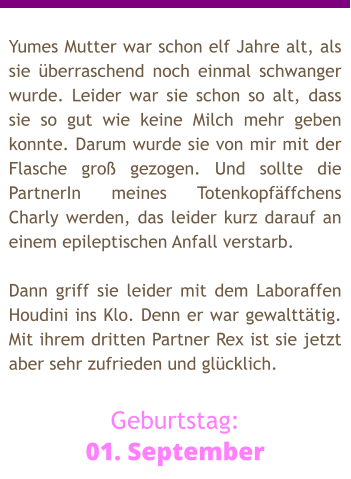 Yumes Mutter war schon elf Jahre alt, als sie überraschend noch einmal schwanger wurde. Leider war sie schon so alt, dass sie so gut wie keine Milch mehr geben konnte. Darum wurde sie von mir mit der Flasche groß gezogen. Und sollte die PartnerIn meines Totenkopfäffchens Charly werden, das leider kurz darauf an einem epileptischen Anfall verstarb.  Dann griff sie leider mit dem Laboraffen Houdini ins Klo. Denn er war gewalttätig. Mit ihrem dritten Partner Rex ist sie jetzt aber sehr zufrieden und glücklich.  Geburtstag: 01. September