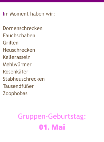 Im Moment haben wir:  Dornenschrecken Fauchschaben Grillen Heuschrecken Kellerasseln Mehlwürmer Rosenkäfer Stabheuschrecken Tausendfüßer Zoophobas   Gruppen-Geburtstag: 01. Mai