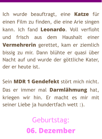 Ich wurde beauftragt, eine Katze für einen Film zu finden, die eine Arie singen kann. Ich fand Leonardo. Voll verfloht und frisch aus dem Haushalt einer Vermehrerin gerettet, kam er ziemlich bissig zu mir. Dann blühte er quasi über Nacht auf und wurde der göttliche Kater, der er heute ist.   Sein MDR 1 Gendefekt stört mich nicht. Das er immer mal Darmlähmung hat, kriegen wir hin. Er macht es mir mit seiner Liebe ja hundertfach wett :).  Geburtstag: 06. Dezember