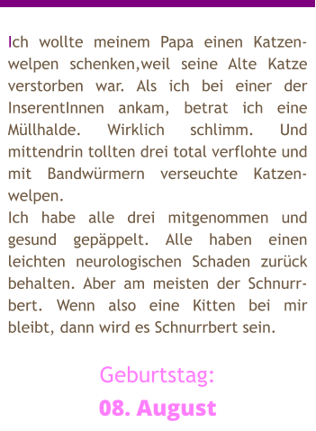 Ich wollte meinem Papa einen Katzen-welpen schenken,weil seine Alte Katze verstorben war. Als ich bei einer der InserentInnen ankam, betrat ich eine Müllhalde. Wirklich schlimm. Und mittendrin tollten drei total verflohte und mit Bandwürmern verseuchte Katzen-welpen. Ich habe alle drei mitgenommen und gesund gepäppelt. Alle haben einen leichten neurologischen Schaden zurück behalten. Aber am meisten der Schnurr-bert. Wenn also eine Kitten bei mir bleibt, dann wird es Schnurrbert sein.  Geburtstag: 08. August