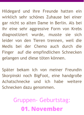 Hildegard und ihre Freunde hatten ein wirklich sehr schönes Zuhause bei einer gar nicht so alten Dame in Berlin. Als bei ihr eine sehr aggressive Form von Krebs diagnostiziert wurde, musste sie sich leider von den Tieren trennen, weil die Medis bei der Chemo auch durch die Finger  auf die empfindlichen Schnecken gelangen und diese töten können.  Später bekam ich von meiner Freundin Skorpinski noch BigFoot, eine handgroße Achatschnecke und ich habe weitere Schnecken dazu genommen.  Gruppen- Geburtstag: 01. November