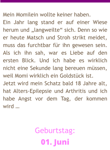 Mein Momilein wollte keiner haben. Ein Jahr lang stand er auf einer Wiese herum und „langweilte“ sich. Denn so wie er heute Matsch und Stroh strikt meidet, muss das furchtbar für ihn gewesen sein.  Als ich ihn sah, war es Liebe auf den ersten Blick. Und ich habe es wirklich nicht eine Sekunde lang bereuen müssen, weil Momi wirklich ein Goldstück ist.  Jetzt wird mein Schatz bald 18 Jahre alt, hat Alters-Epilepsie und Arthritis und ich habe Angst vor dem Tag, der kommen wird …   Geburtstag: 01. Juni