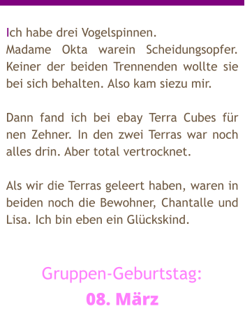 Ich habe drei Vogelspinnen. Madame Okta warein Scheidungsopfer. Keiner der beiden Trennenden wollte sie bei sich behalten. Also kam siezu mir.  Dann fand ich bei ebay Terra Cubes für nen Zehner. In den zwei Terras war noch alles drin. Aber total vertrocknet.  Als wir die Terras geleert haben, waren in beiden noch die Bewohner, Chantalle und Lisa. Ich bin eben ein Glückskind.   Gruppen-Geburtstag: 08. März