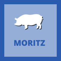 MORITZ