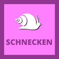 SCHNECKEN