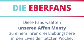 DIE EBERFANS Diese Fans wählten unseren Affen Monty zu einem ihrer drei Lieblingstiere in den Lives der letzten Woche.