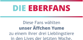 DIE EBERFANS Diese Fans wählten unser Äffchen Yume zu einem ihrer drei Lieblingstiere in den Lives der letzten Woche.