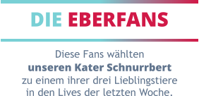 DIE EBERFANS Diese Fans wählten unseren Kater Schnurrbert zu einem ihrer drei Lieblingstiere in den Lives der letzten Woche.