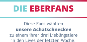 DIE EBERFANS Diese Fans wählten unsere Achatschnecken zu einem ihrer drei Lieblingstiere in den Lives der letzten Woche.