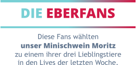 DIE EBERFANS Diese Fans wählten unser Minischwein Moritz zu einem ihrer drei Lieblingstiere in den Lives der letzten Woche.