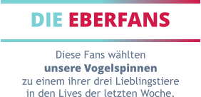 DIE EBERFANS Diese Fans wählten unsere Vogelspinnen zu einem ihrer drei Lieblingstiere in den Lives der letzten Woche.