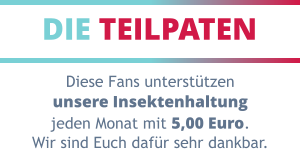 DIE TEILPATEN Diese Fans unterstützen unsere Insektenhaltung jeden Monat mit 5,00 Euro. Wir sind Euch dafür sehr dankbar.