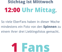 Stichtag ist Mittwoch 12:00 Uhr Mittag. So viele EberFans haben in dieser Woche  mindestens ein Foto von den Spinnen zu  einem ihrer drei Lieblingsfotos gemacht.  1 Fans