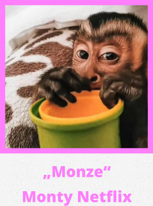 „Monze“ Monty Netflix