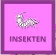 INSEKTEN