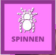 SPINNEN